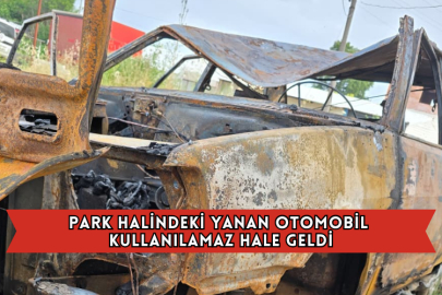 Park Halindeki Yanan Otomobil Kullanılamaz Hale Geldi