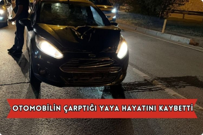  Otomobilin Çarptığı Yaya Hayatını Kaybetti