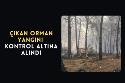 Çıkan Orman Yangını Kontrol Altına Alındı