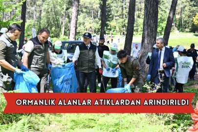 Ormanlık Alanlar Atıklardan Arındırıldı