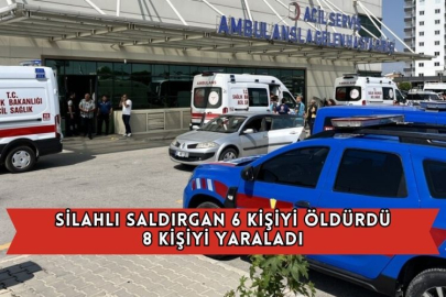 Silahlı Saldırgan 6 Kişiyi Öldürdü, 8 Kişiyi Yaraladı