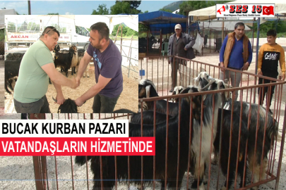 Bucak Kurban Pazarı Vatandaşların Hizmetinde  
