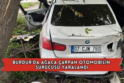 Burdur'da Ağaca Çarpan Otomobilin Sürücüsü Yaralandı