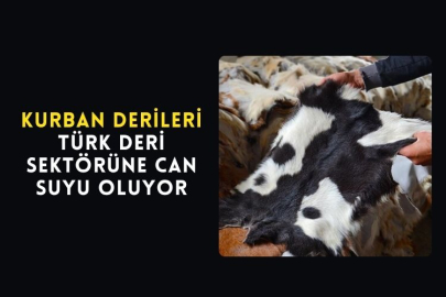 Kurban Derileri Türk Deri Sektörüne Can Suyu Oluyor