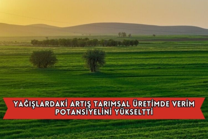 Yağışlardaki Artış Tarımsal Üretimde Verim Potansiyelini Yükseltti