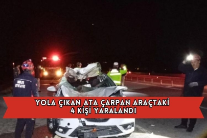Yola Çıkan Ata Çarpan Araçtaki 4 Kişi Yaralandı