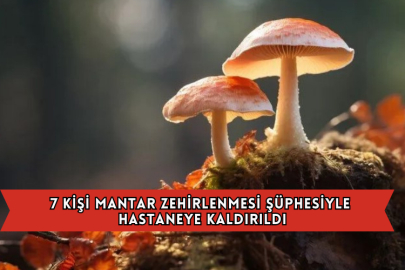 7 Kişi Mantar Zehirlenmesi Şüphesiyle Hastaneye Kaldırıldı