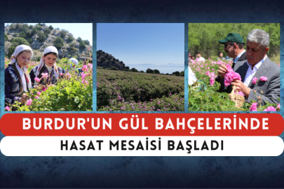 Burdur'un Gül Bahçelerinde Hasat Mesaisi Başladı