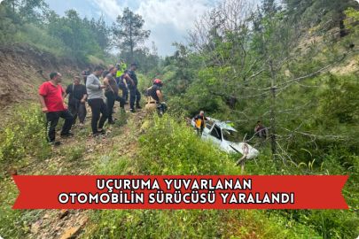 Uçuruma Yuvarlanan Otomobilin Sürücüsü Yaralandı
