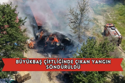Büyükbaş Çiftliğinde Çıkan Yangın Söndürüldü