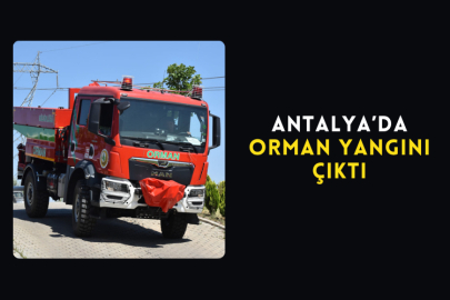 Antalya’da Orman Yangını Çıktı
