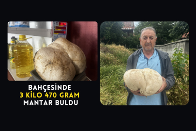 Bahçesinde 3 Kilo 470 Gram Mantar Buldu