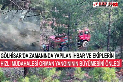Gölhisar’da Zamanında Yapılan İhbar Ve Ekiplerin Hızlı Müdahalesi Orman Yangınının Büyümesini Önledi