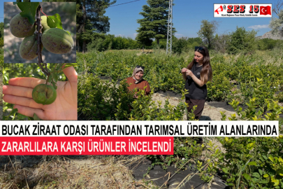 Bucak Ziraat Odası Tarafından Tarımsal Üretim Alanlarında Zararlılara Karşı Ürünler İncelendi