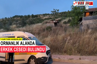 Ormanlık Alanda Erkek Cesedi Bulundu