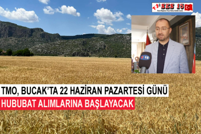 TMO, Bucak’ta 22 Haziran Pazartesi Günü Hububat Alımlarına Başlayacak