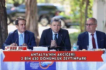 Antalya'nın Akciğeri: 2 Bin 630 Dönümlük Zeytinpark