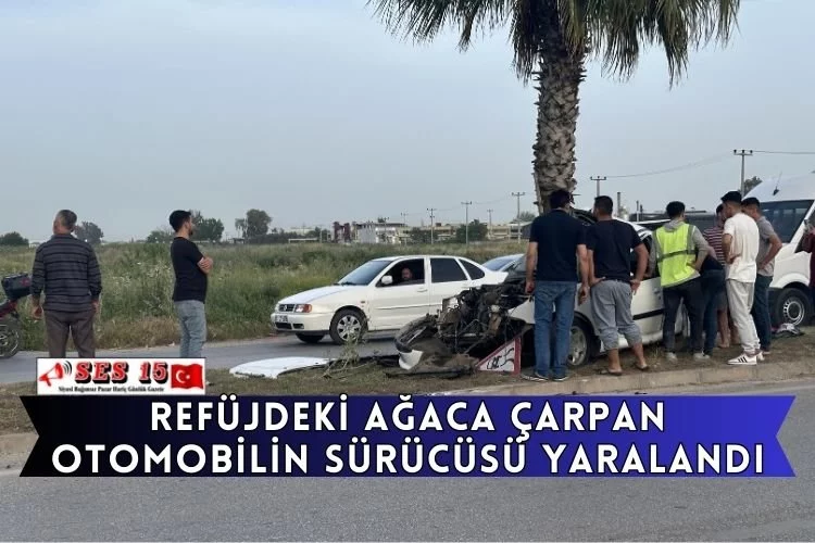 Refüjdeki Ağaca Çarpan Otomobilin Sürücüsü Yaralandı