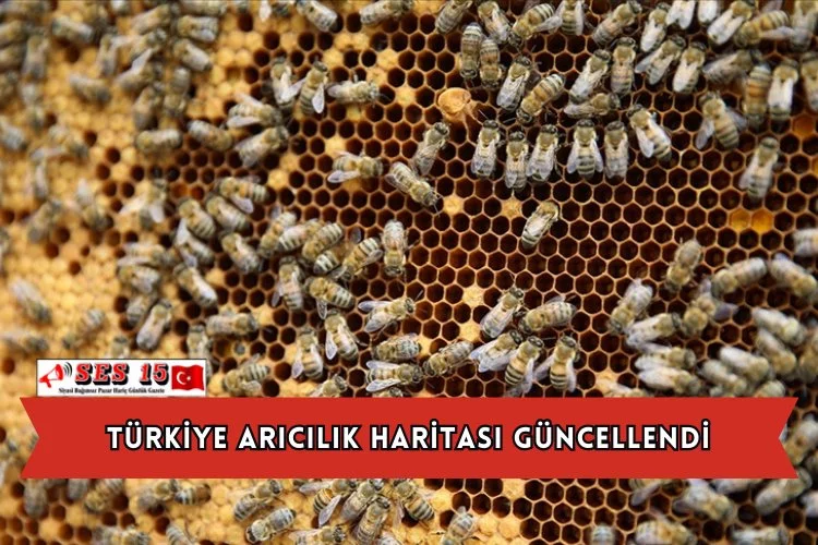 Türkiye Arıcılık Haritası Güncellendi